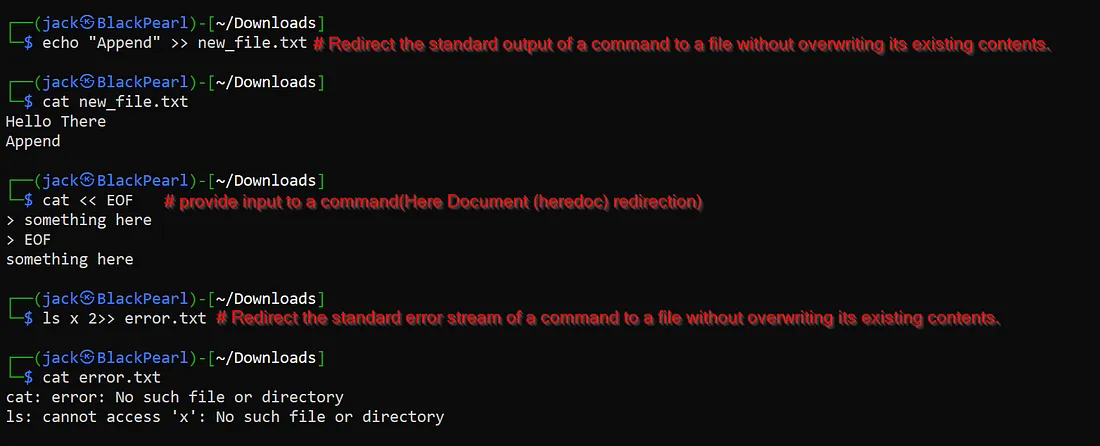 Standard I/O Append